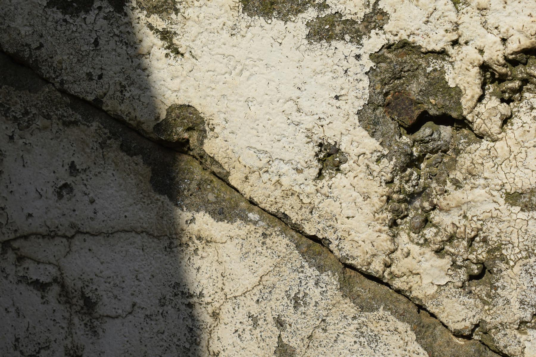 marija-zaric-FjucQ6GOfqs-unsplash45 marija-zaric-FjucQ6GOfqs-unsplash45