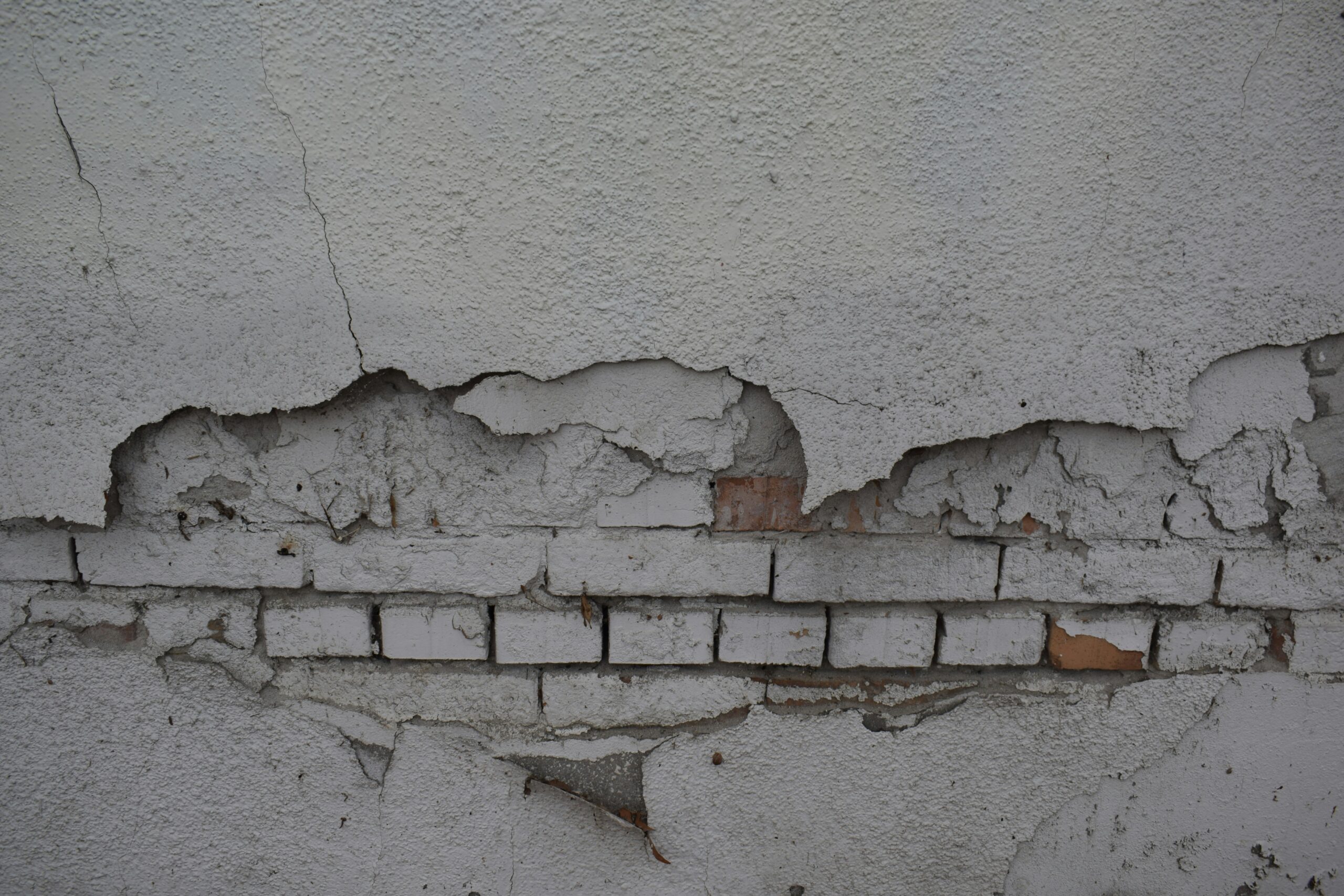 marija-zaric-LGf2CDKjDvM-unsplash